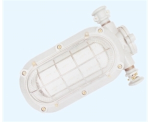内蒙古矿用隔爆型LED支架灯